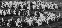 Stadion 1929